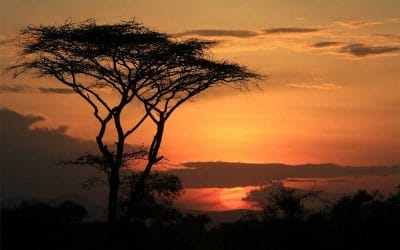 Abendhimmel Serengeti mit Klüger Reisen