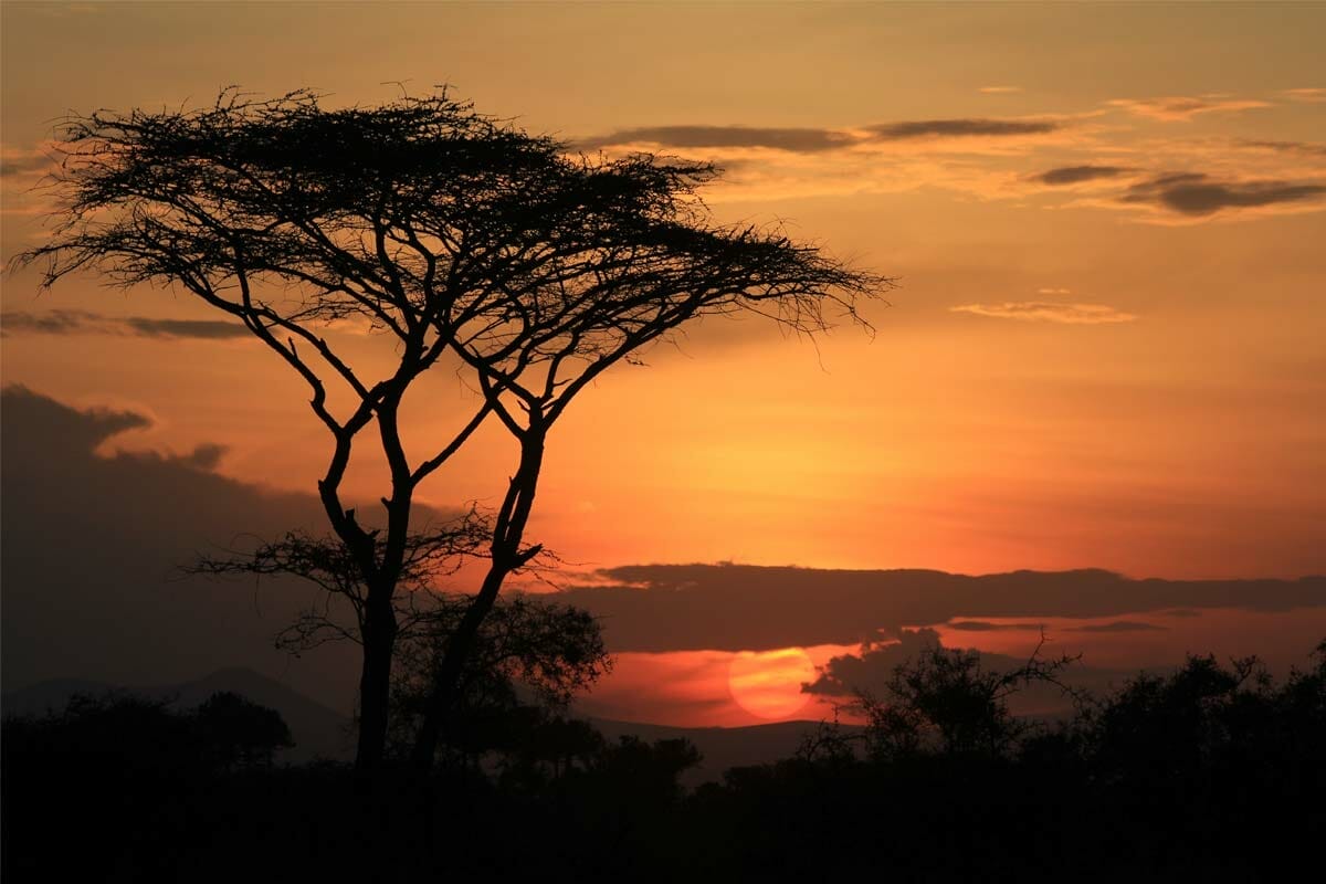 Abendhimmel Serengeti mit Klüger Reisen