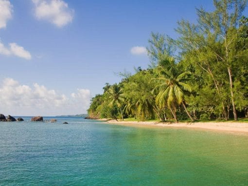 Madagaskar: Privatrundreise Süden und Ft. Dauphin 15 Tage