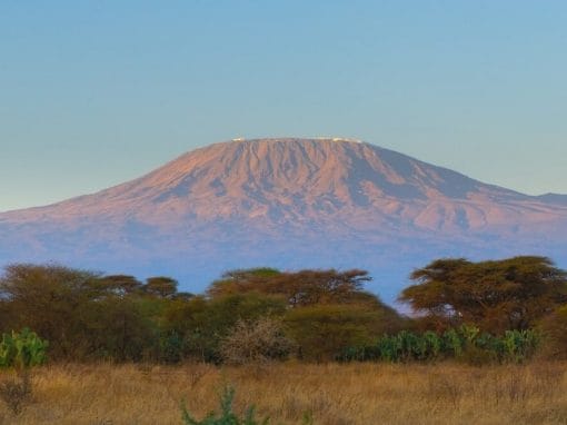 Tansania: Kilimanjaro Marangu Route – 7 Nächte