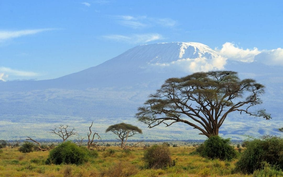 Kenia: Safari Tsavo und Amboseli Nationalpark 4 Tage