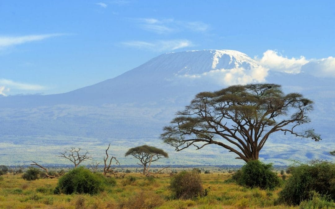 Kenia: Safari Tsavo und Amboseli Nationalpark 4 Tage