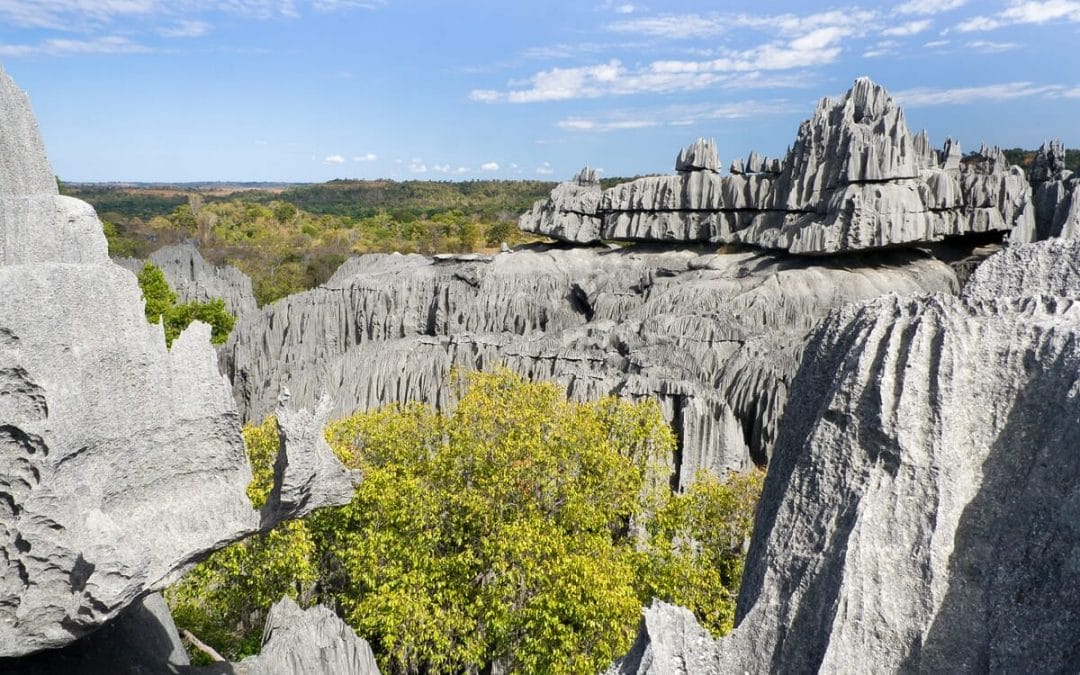 Madagaskar: Privatreise Süden und Tsingys 15 Tage