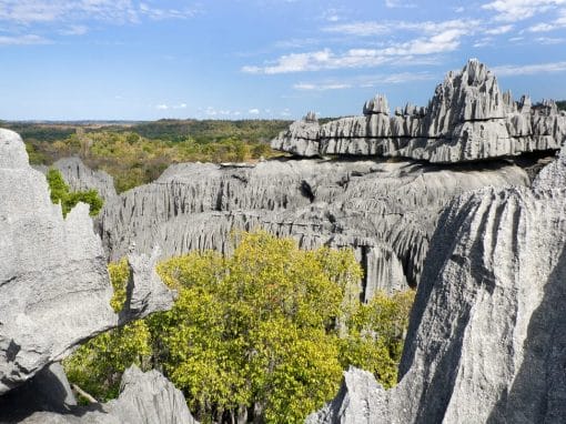 Madagaskar: Privatreise Süden und Tsingys 15 Tage