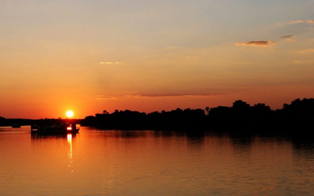 Sambia: South Luangwa und Lower Sambesi 9 Tage