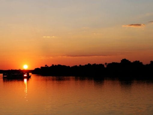 Sambia: South Luangwa und Lower Sambesi 9 Tage