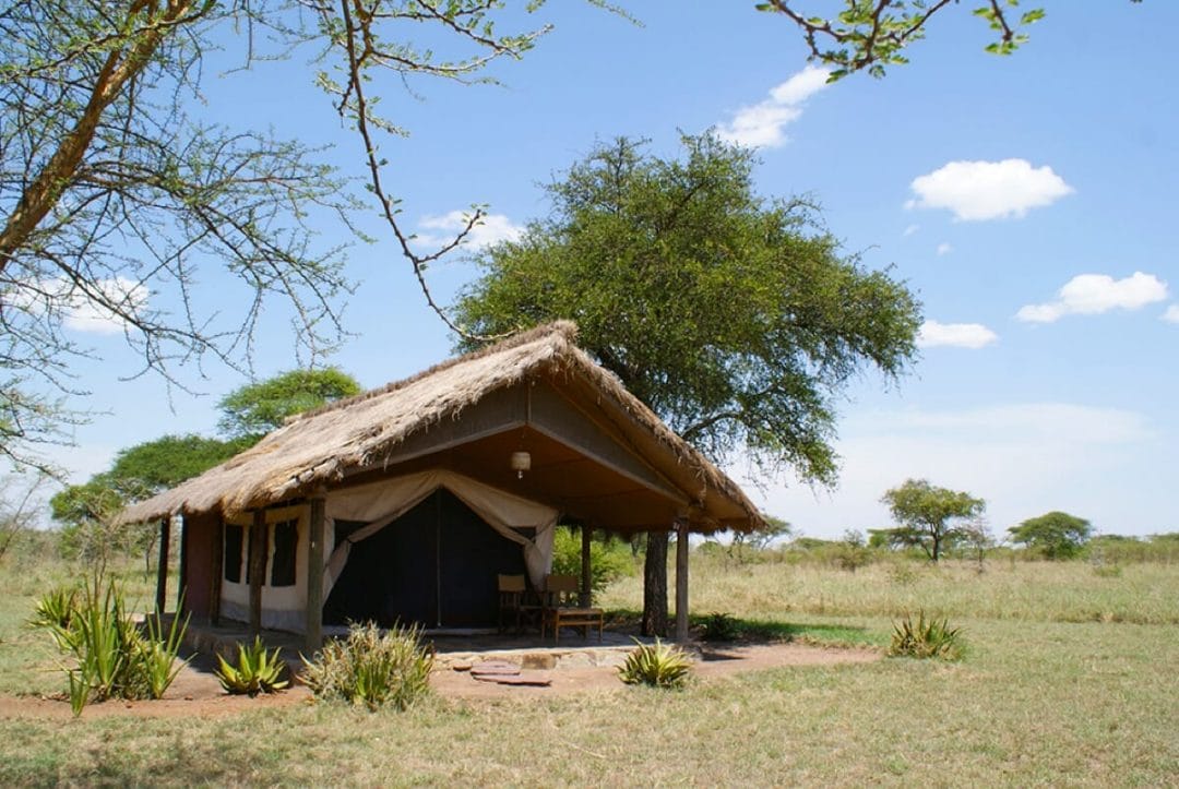Tented Camp Serengeti mit Klüger Reissen