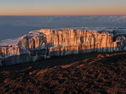 Tansania: Kilimanjaro Machame Route – 7 Nächte