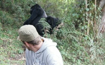 Uganda_Gorilla_Trekking_Klueger_Reisen