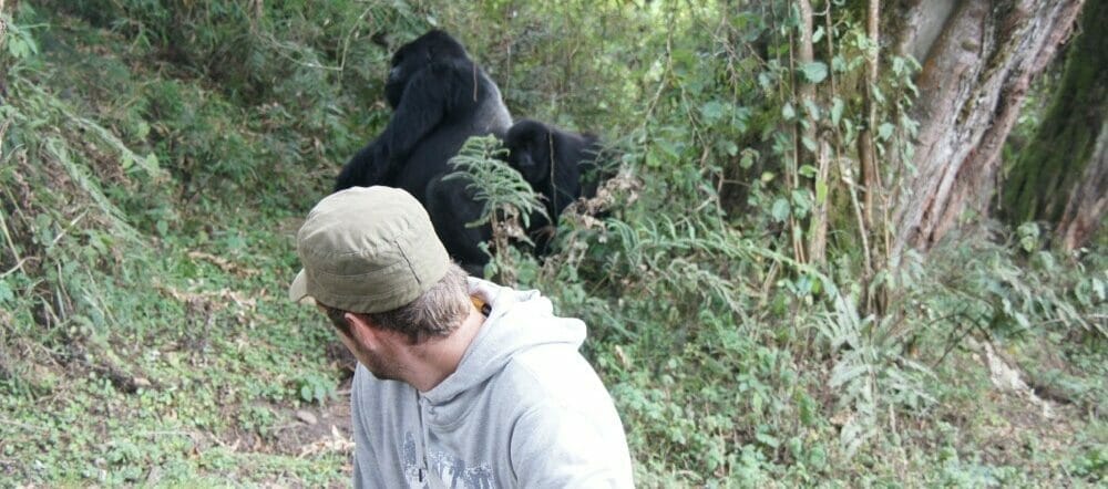 Uganda_Gorilla_Trekking_Klueger_Reisen
