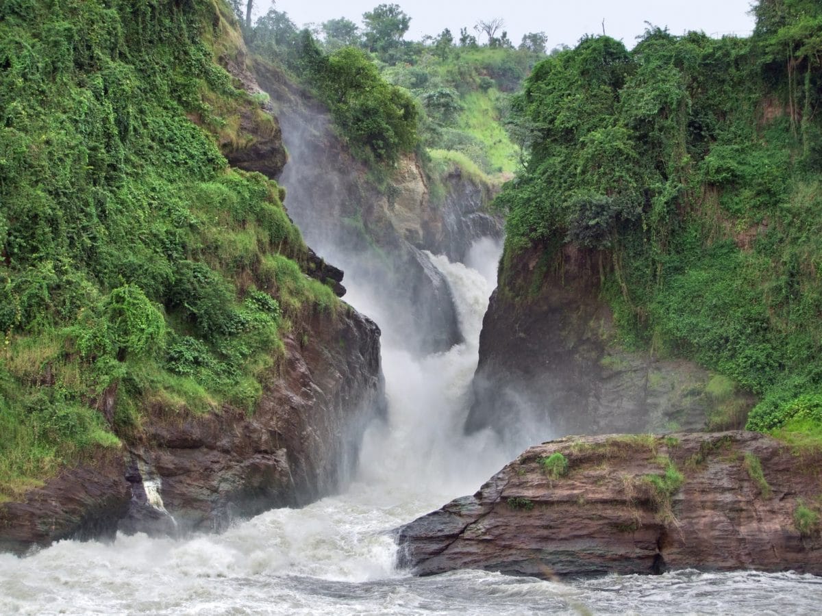 Uganda_Murchinson_Falls_Klueger_Reisen