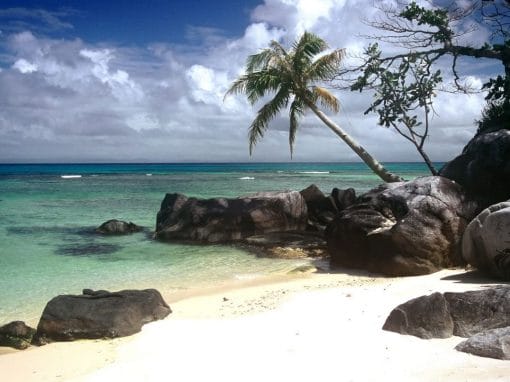 Madagaskar: Privatreise Süden und Osten 15 Tage