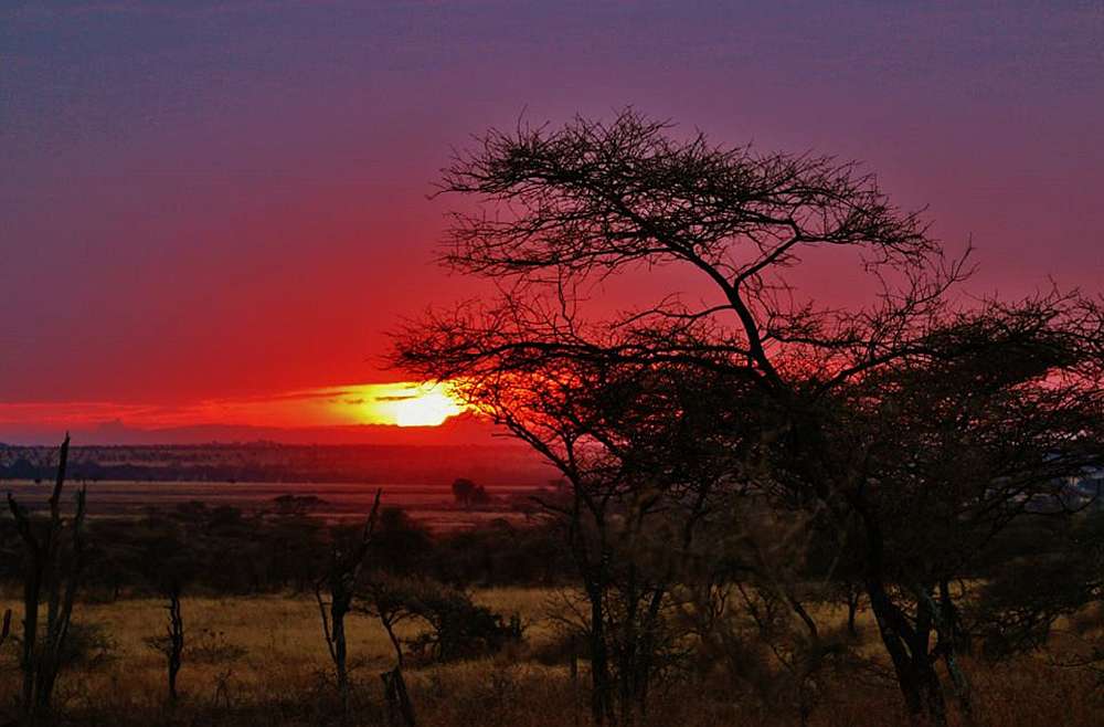 Tansania_Serengeti_Sonnenuntergang_Klueger_Reisen