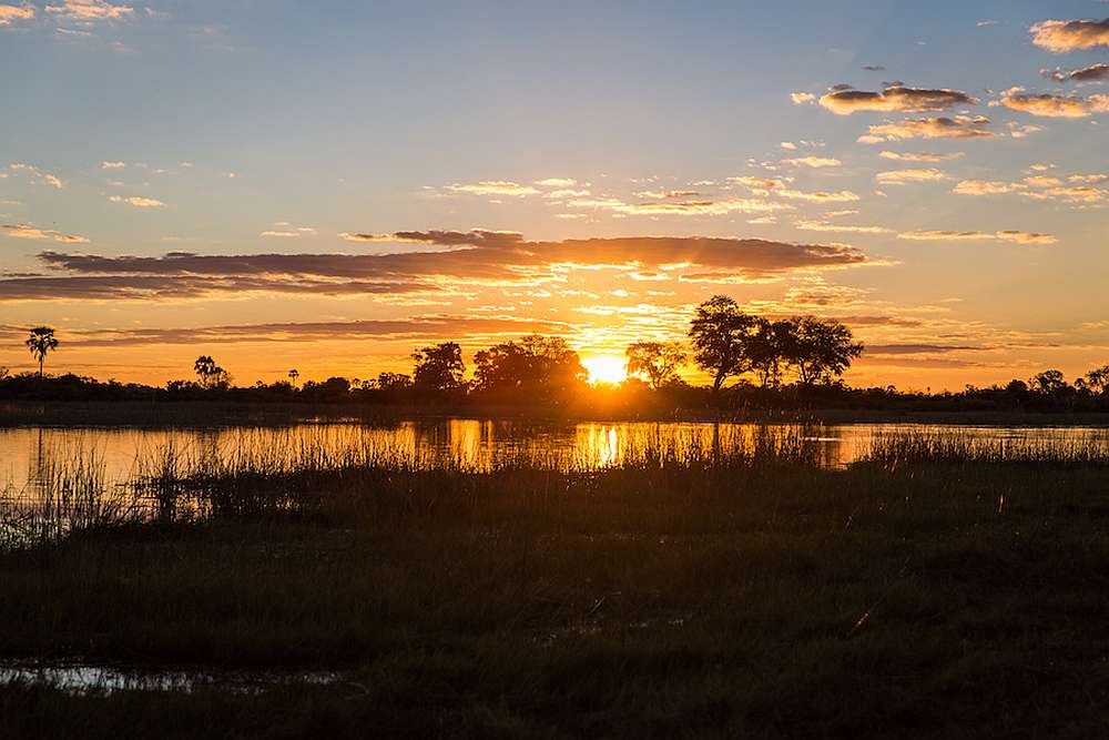 Botswana: Gruppenreise um das Okavango Delta – 15 Tage