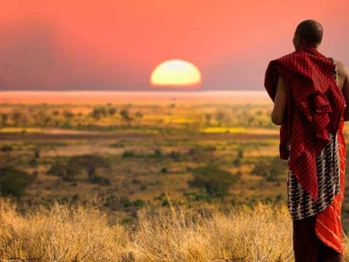 Tansania: Kurzsafari The Feeling of Africa 3 Tage
