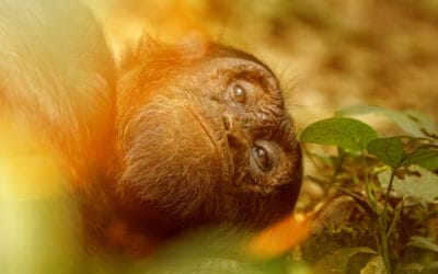 Uganda_Martin_Buschmann_Fotoreise_Klueger_Reisen