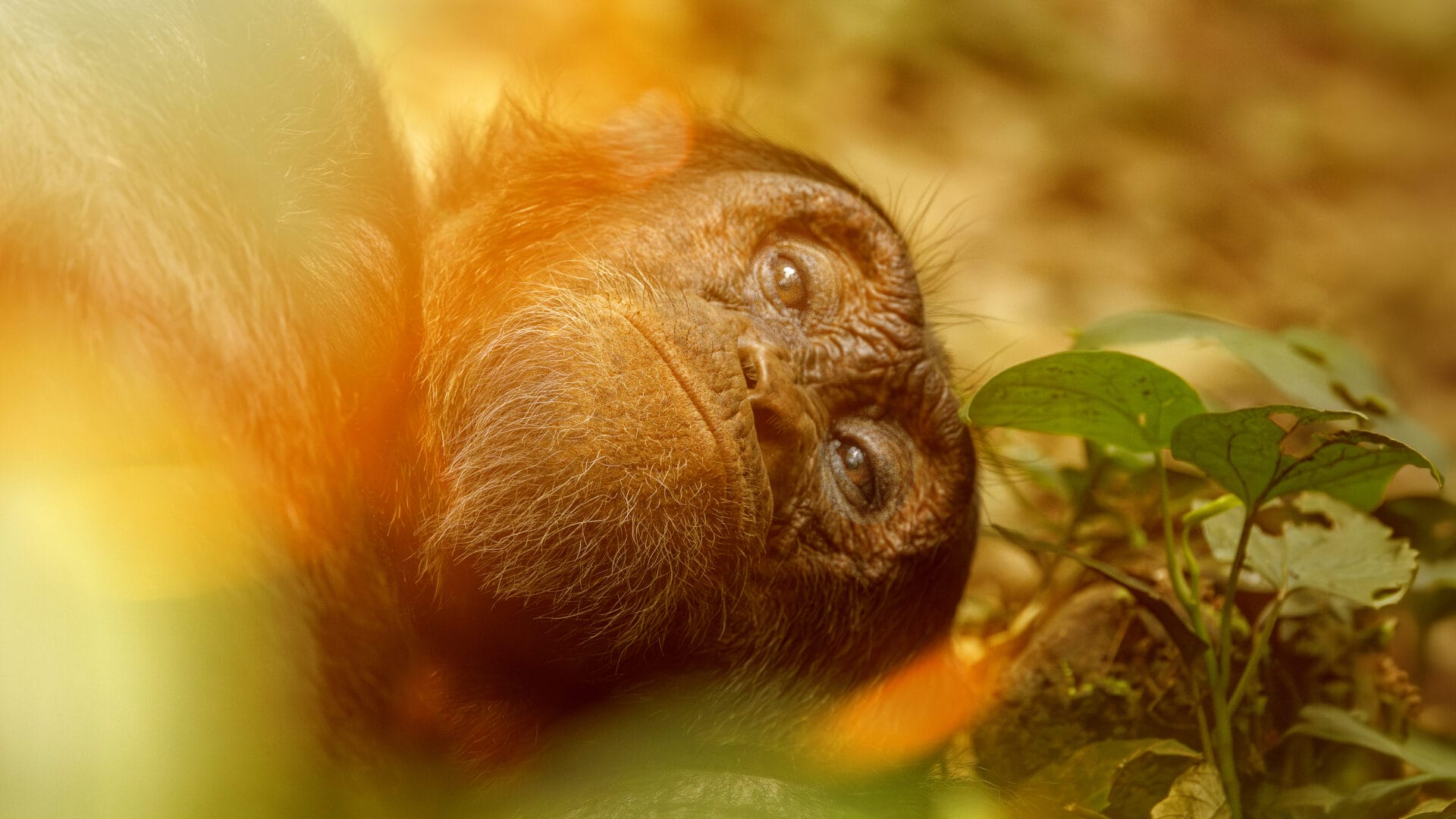 Uganda_Martin_Buschmann_Fotoreise_Klueger_Reisen