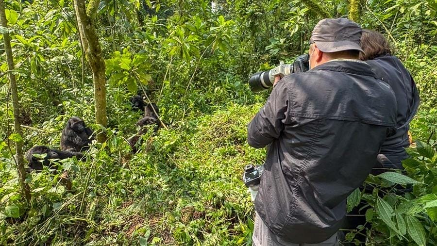 Uganda_Gorilla_Trekking_Martin_Buschmann_Klueger_Reisen