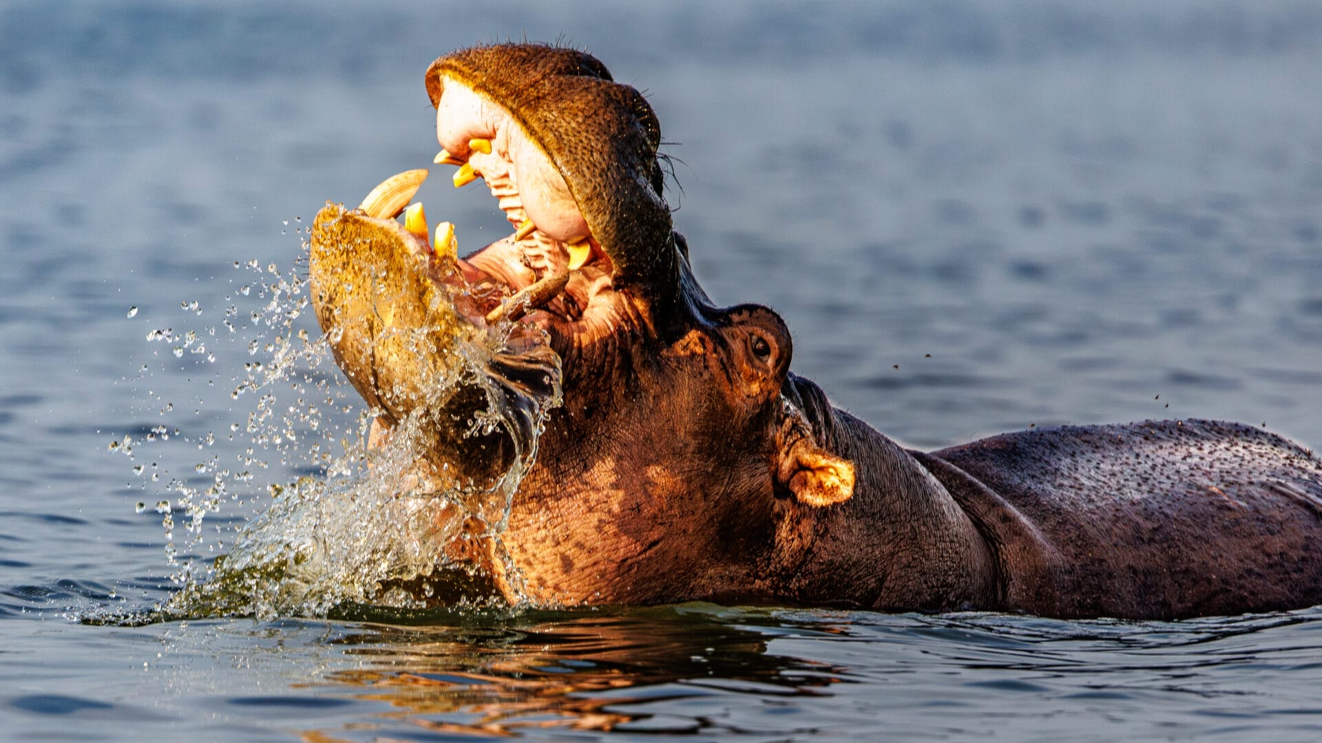 Uganda_Fotoreise_Martin_Buschmann_Klueger_Reisen