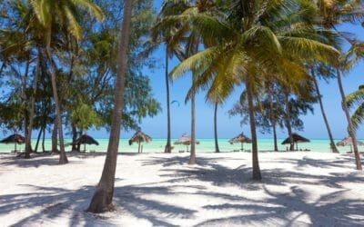 Tansania_Sansibar_Klueger Reisen