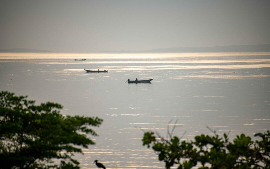 Uganda: Individualreise der Westen 10 Tage