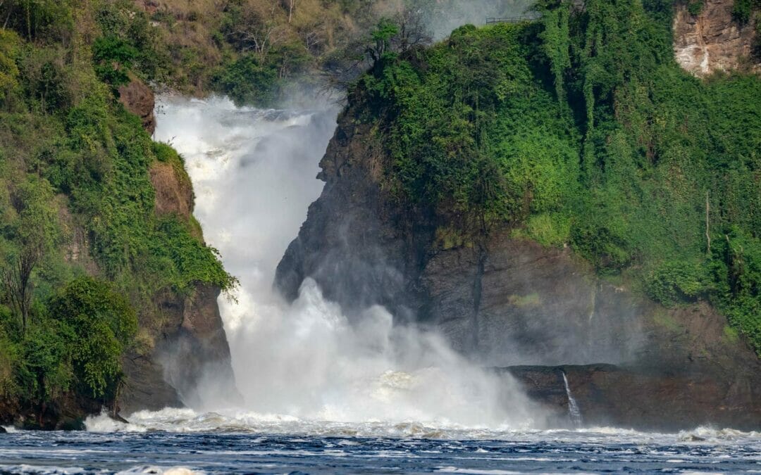 Uganda: Fly-In Safari – Murchison Falls Nationalpark 4&nbsp;Tage