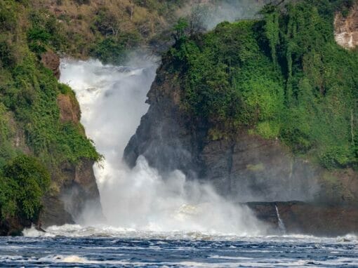 Uganda: Fly-In Safari – Murchison Falls Nationalpark 4 Tage