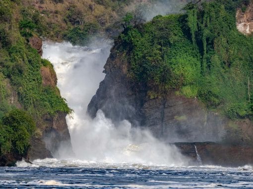 Uganda: Fly Inn Safari Murchison Falls 4 Tage