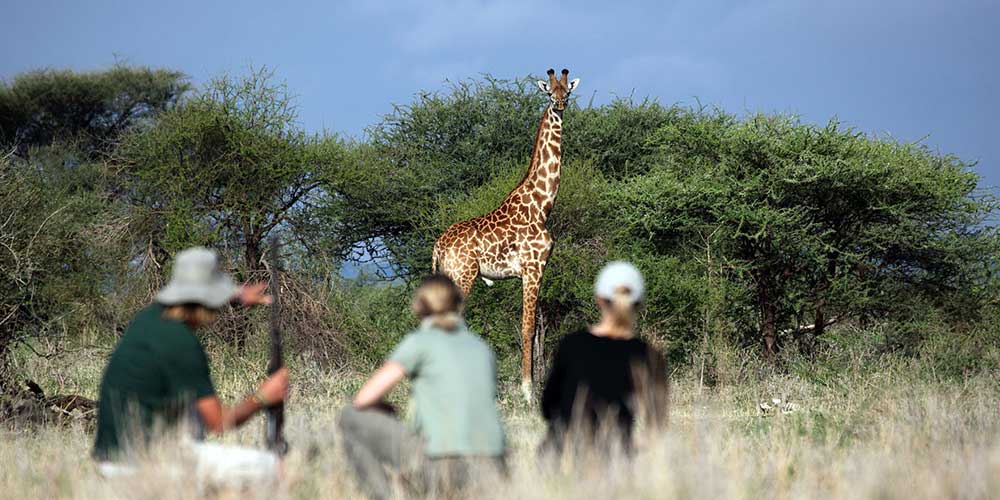 Tansania: Nachhaltige Walking Safari 6 Tage