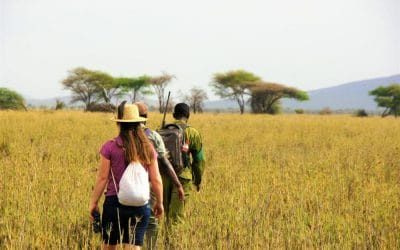 Tansania_Dustin_Walking_Safari_II_Klueger_Reisen