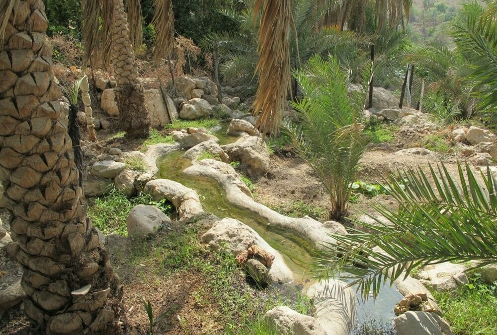 Oman: Mietwagenreise – mit dem Allrad durch grandiose Landschaften 9&nbsp;Tage