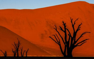Namibia_Fotoreise_Focuswelten_Klueger_Reisen