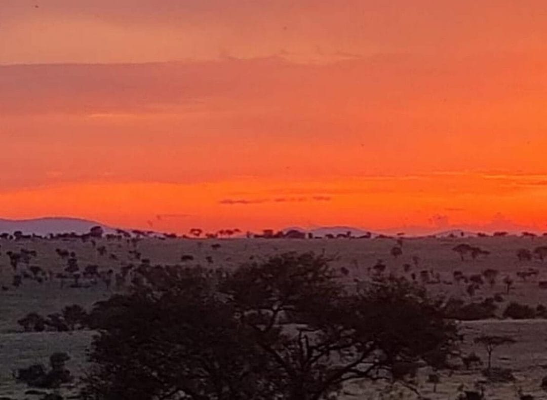 Tansania_Fly_In_Serengeti_Klueger_Reisen