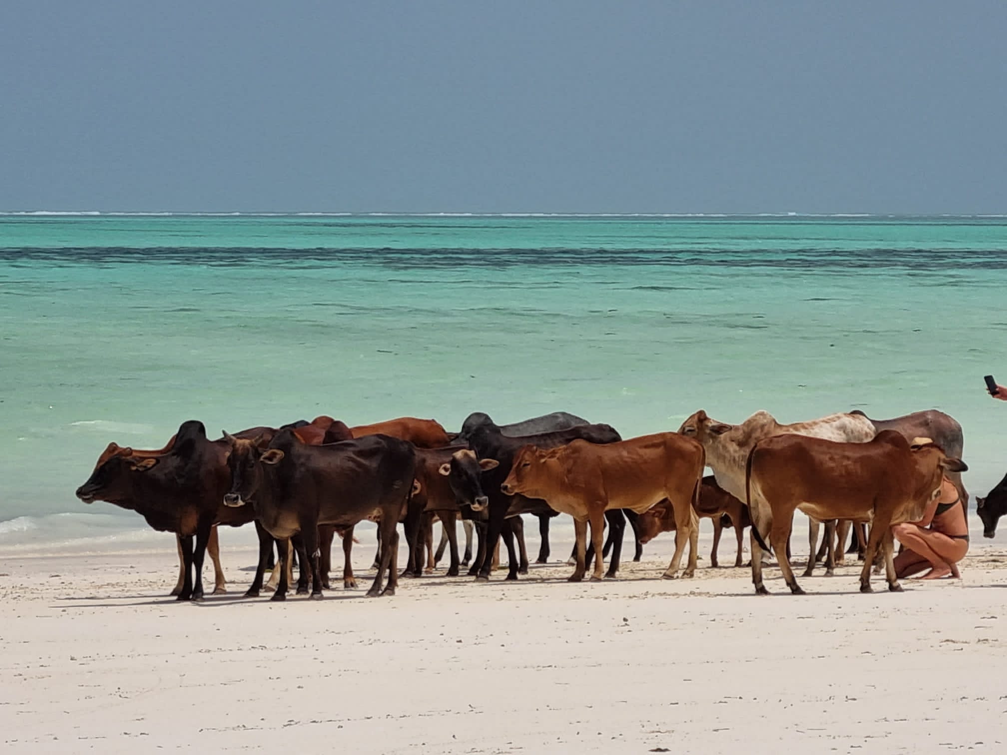 Tansania_Sansibar_Paje_Beach_Klueger_Reisen