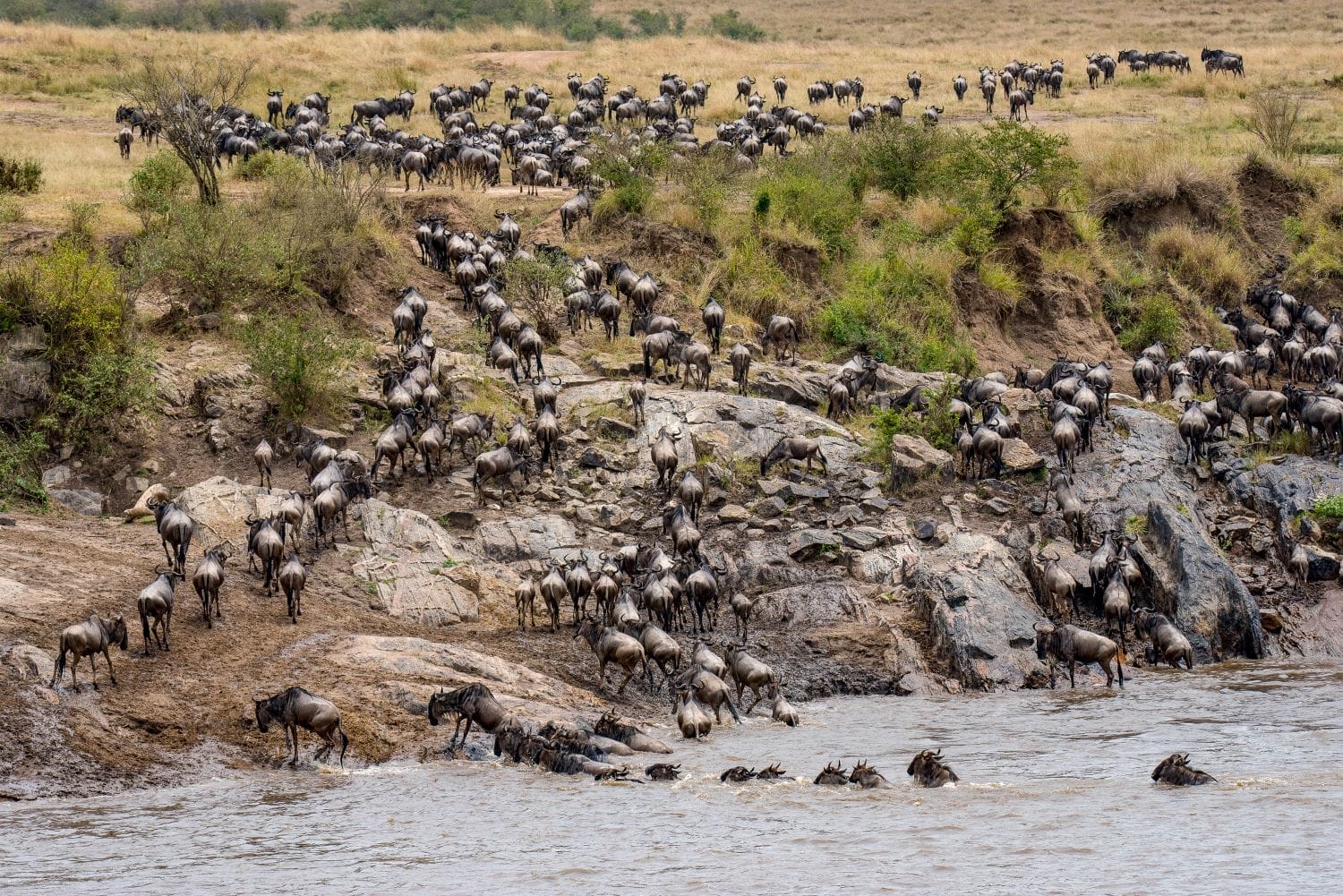 Kenia_Maasai_Mara_Hardy_Fiebig_Klueger_Reisen