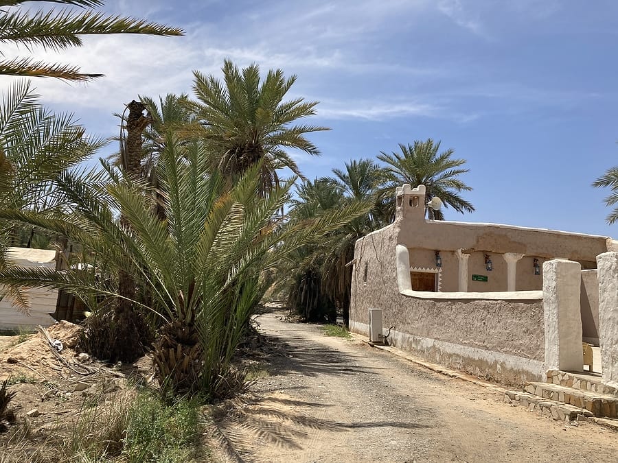 Saudi_Arabien_Oasenstadt_Buraidah_Rundreise_Klueger_Reisen