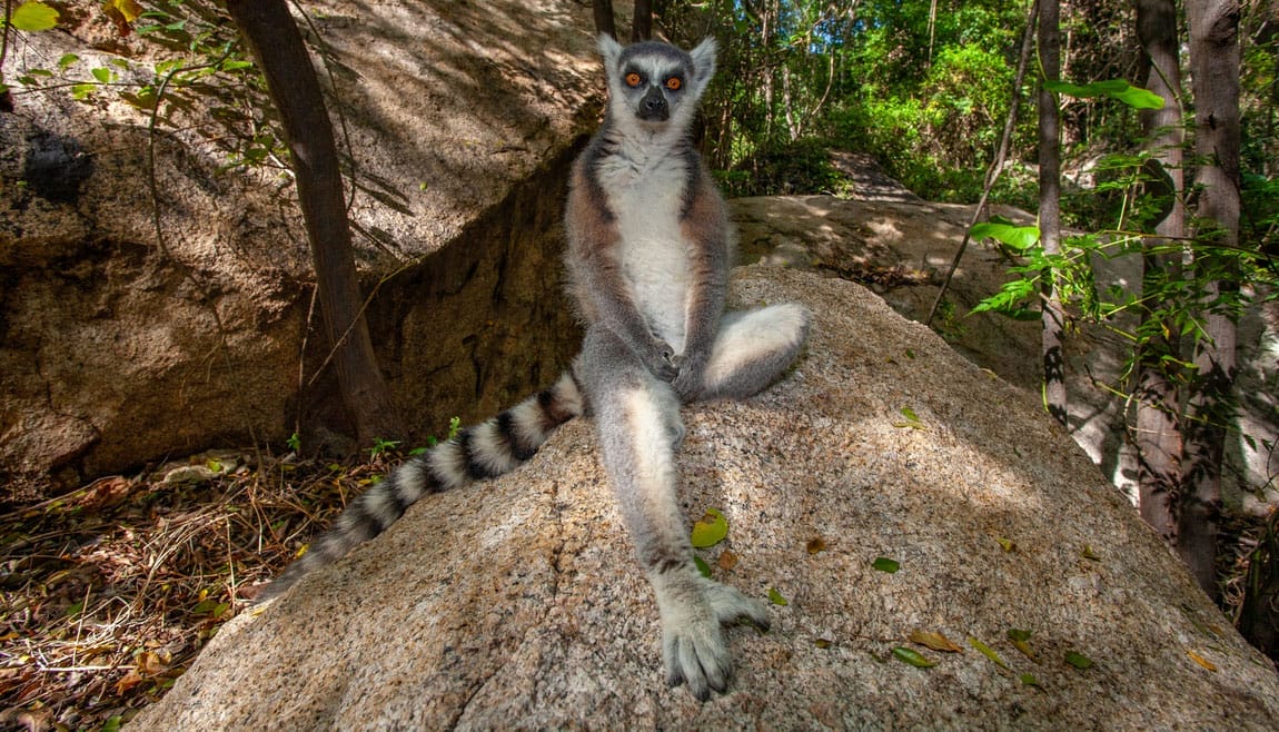 Madagaskar_Fokuswelten_Klueger_Reisen_Rocky_Park