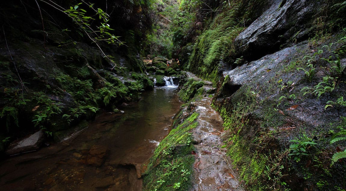 Madagaskar_Focuswelten_Klueger_Reisen_Isalo_Wanderung